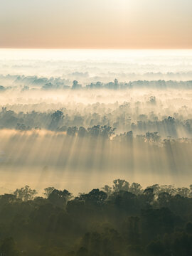 Aerial view of rays of sunshine through fog over gumtrees at Moama in New South Wales