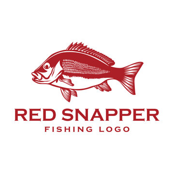 Red Snapper fish logo design vector