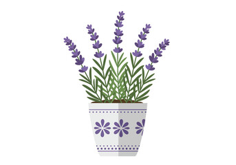 Potted Lavender Plant with Decorative White Pot and Purple Flowers.
