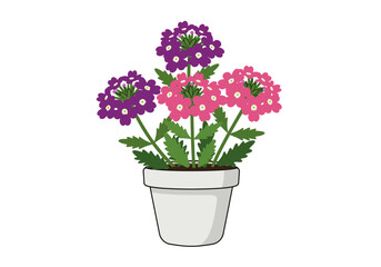 Potted Verbena Flowers: Pink and Purple Blooms in a Gray Pot