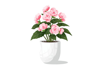 Vibrant pink begonia flowers with lush green leaves in a modern white pot showcasing delicate petals and intricate foliage.