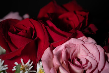 美しい薔薇の花束