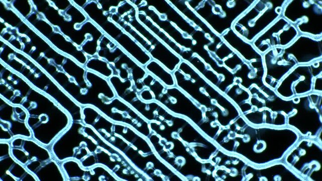 Abstract network pattern, computer circuitry or neural network concept with blue glowing lines, connections and nodes on black backdrop.