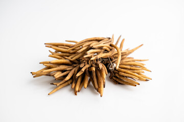 Close up of Dehydrated Ranunculus Tuberous Roots on Light Background