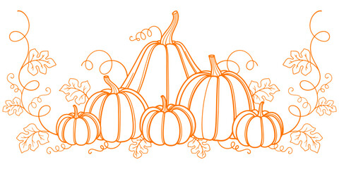 Pumpkin line art style vector illustration