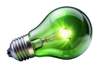 Growing green light bulb on white background