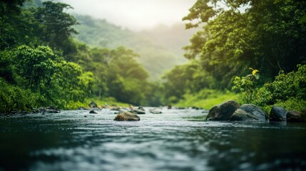 A beautiful landscape showcasing nature in its purest form on blurred background