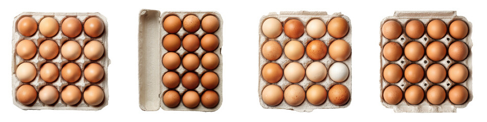 Assortment of Fresh Brown and White Chicken Eggs in Cardboard Carton, Top View, PNG set Transparent background