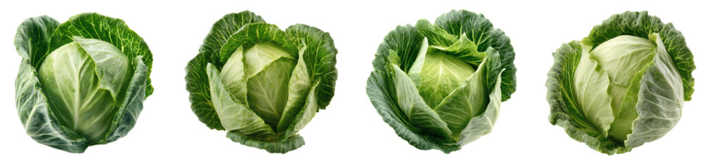 Fresh Green Cabbage Row Isolated on Black Background for Culinary Design and Healthy Eating Concepts PNG set Transparent backround