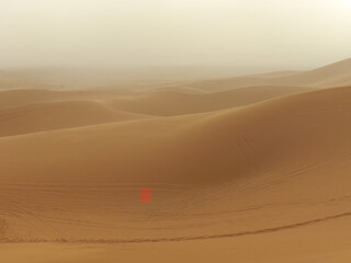 Sand dune at Erg Chebbi near Merzouga in the Sahara Desert