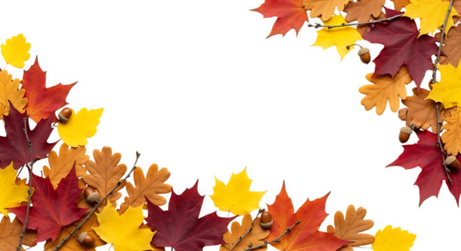 Autumn leaves border with vibrant fall colors isolated on transparent background