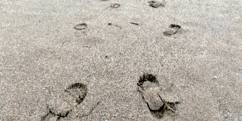 Footprints on Smooth Beach Sand Photo Showing Natural Patterns of Human Steps with Simple Yet Aesthetic Tropical Texture and Minimalist Vibe