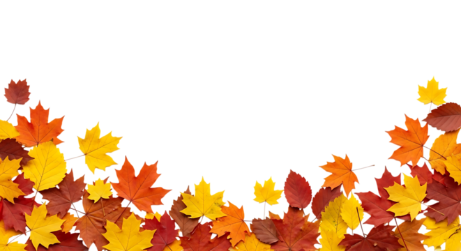 Autumn leaves border with a black background isolated on transparent background