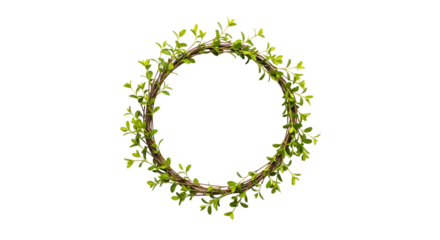 Oval shaped green leaf garland isolated on transparent background