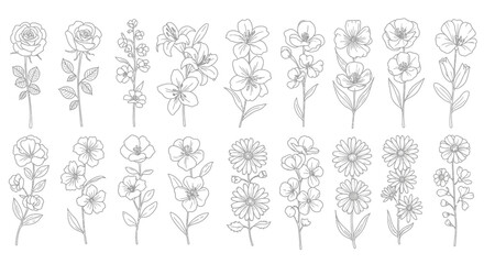 Vector Icons Set of Hand drawn botanical flower collection set of minimalist floral line art illustrations. EPS Editable