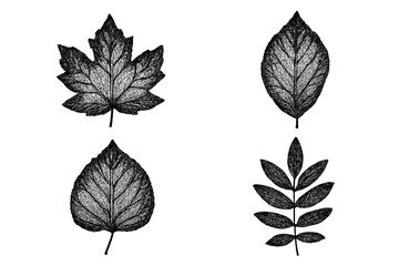 Obraz premium Stylized halftone dotted black and white leaves set, grunge autumn forest leaf stamps, vector design elements and cartoon illustration with transparent background, four leaf types