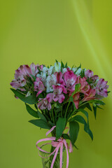 A lush bouquet of colorful alstroemeria in a glass vase, tied with a delicate pink ribbon. The flowers in shades of pink, white, and peach create a festive mood against a bright yellow background.