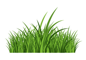 Obraz premium Lush Green Grass Clump with Pointed Blades Illustration.