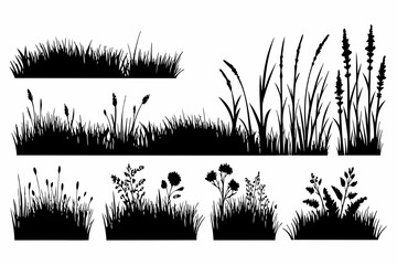 Grass Silhouette Vector Illustration Set – Wild Grass and Plants Collection
