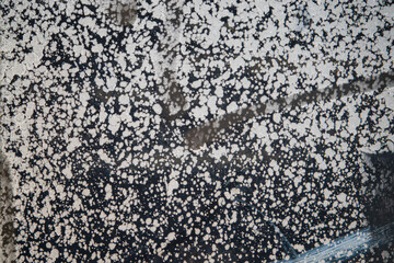 Raindrops create a stunning mosaic of white and dark against the ground at dawn