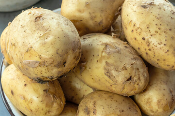 Abundant harvest of organic potatoes with earthy details symbolizing natural goodness and healthy eating. From farm to table rustic charm of unwashed potatoes ready for wholesome home cooked dishes.