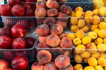 Fresh fruits including nectarines, peaches and apricots in market display. Colorful arrangement of ripe stone fruits in transparent containers showcasing seasonal produce in grocery market setting.