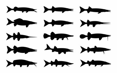 Vector art of set of sturgeon silhouettes, vector illustration