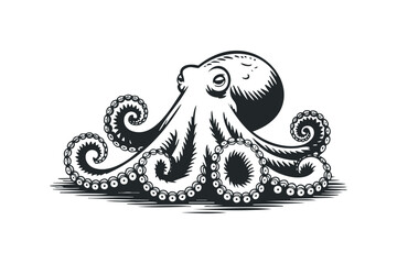 Obraz premium Octopus Ink Drawing. Vector hand drawn
