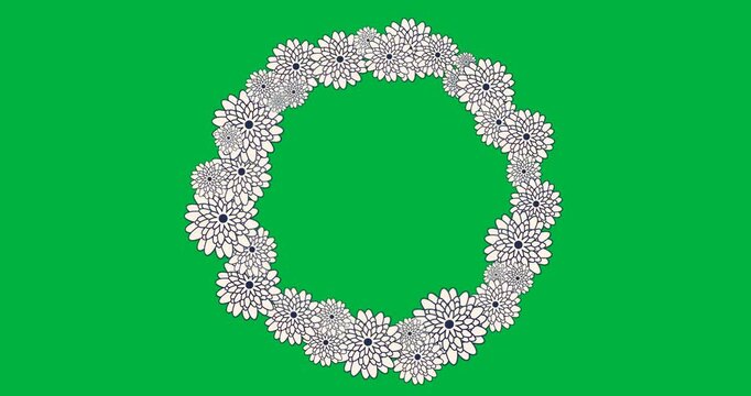 Designer building daisy wreath on transparent background showing navy petals circling frame