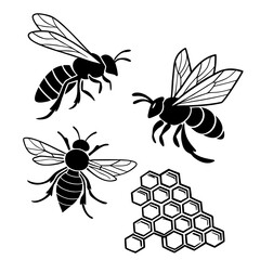 Black bees and honeycomb pattern insect flying