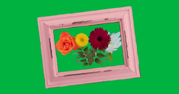 Colorful blooms rotating over transparent backdrop, featuring digital design with pastel pink frame