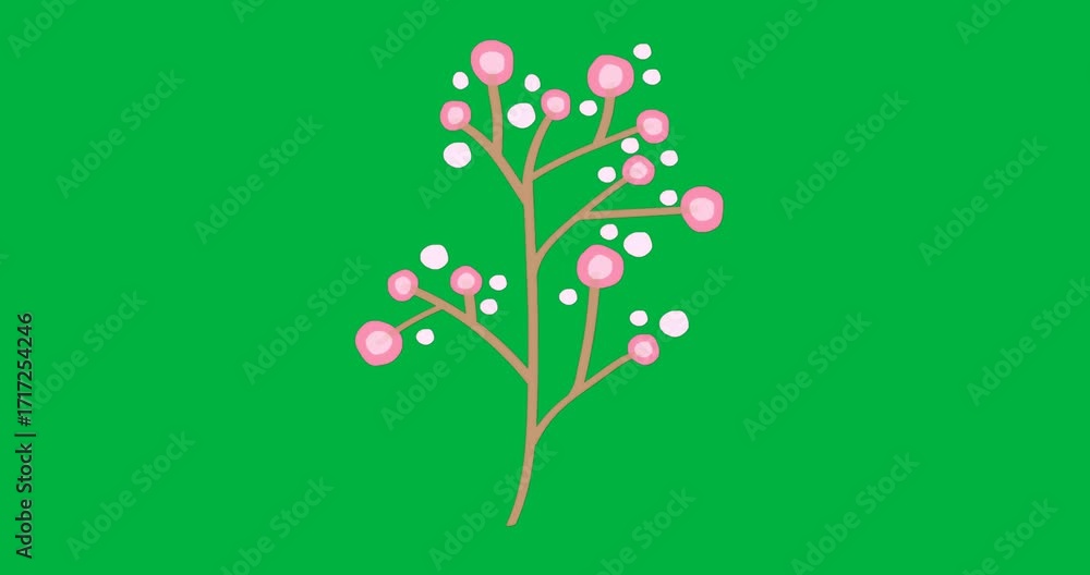 Poster animating brown branch splitting showcasing pink blossom cluster on transparent backdrop for design