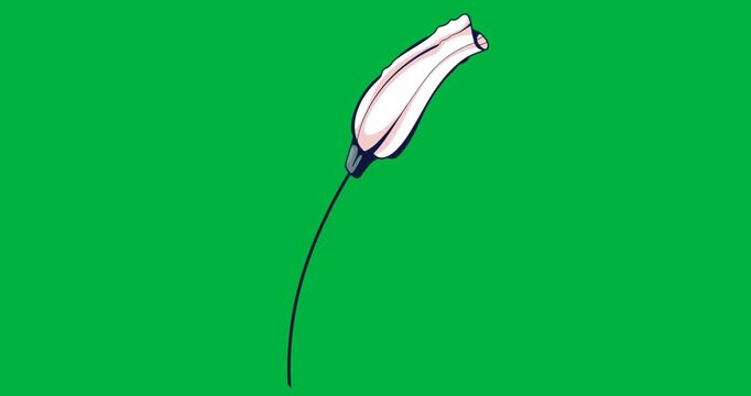 Designers placing flower bud graphic with petals and stem on transparent background for marketing