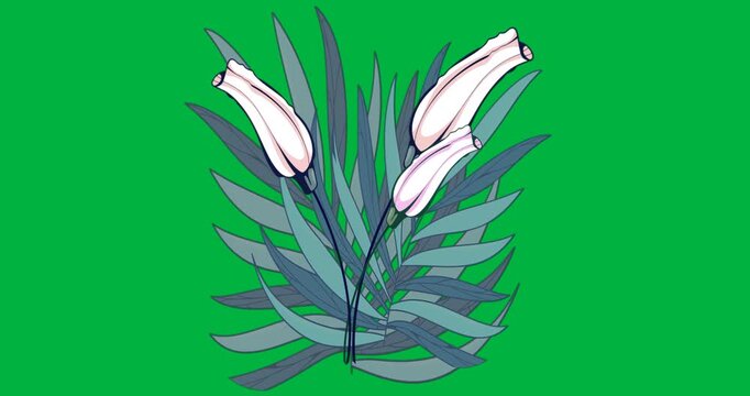 Illustration showing three tubular flower buds merging with teal leaves on transparent backdrop
