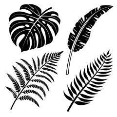 Obraz premium Jungle foliage silhouettes monstera fern palm monstera leaf