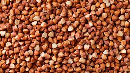 Naklejka premium Brown buckwheat groats top view filling entire background, evenly distributed food texture photography