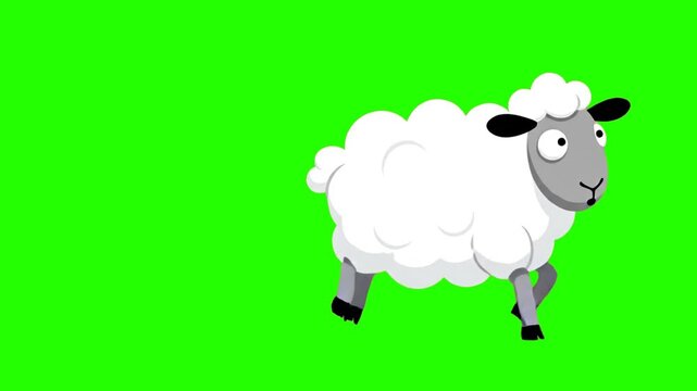 Cartoon sheep walking across a bright green screen background