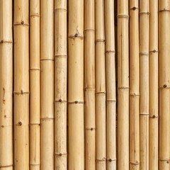 Naklejka premium Close-up of light brown bamboo poles