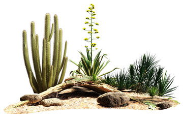 Description of the image in 12 words this picture shows desert plants like cacti yucca and agave with rocks.