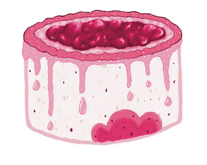 birthday cake illustration
