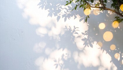 Light and Shadow Play: Tree Branch Shadows on a White Wall