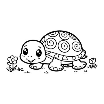 turtle