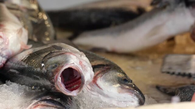 Cleaning fish in a busy market on a weekend morning