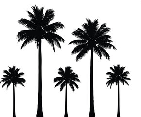 Silhouettes of Palm Trees with Varying Heights and Frond Shapes for Tropical Nature Design, Beach Art, Travel Theme, and Vector Illustration