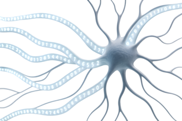A digital neuron cell with binary code flowing through its structure against a transparent backdrop, ideal for tech and science visuals.