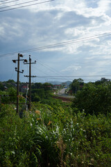 Obraz premium Rural Landscape with Power Poles and Overgrown Vegetation