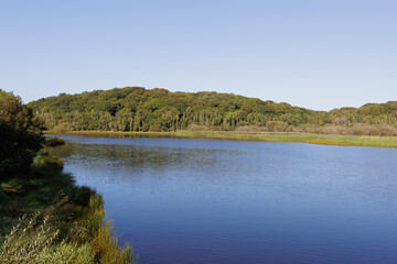 sunny morning Quoile River landscape, Northern Ireland.