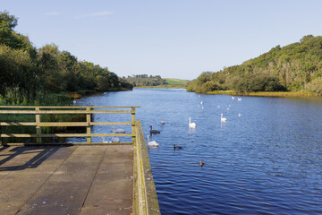 sunny morning Quoile River landscape, Northern Ireland.