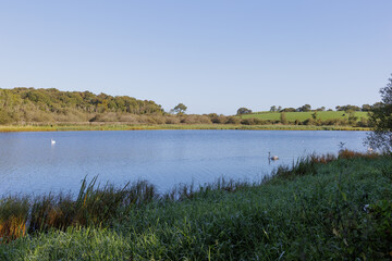 sunny morning Quoile River landscape, Northern Ireland.