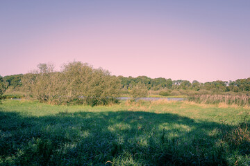 A misty morning in the early autumn countryside of Northern Ireland